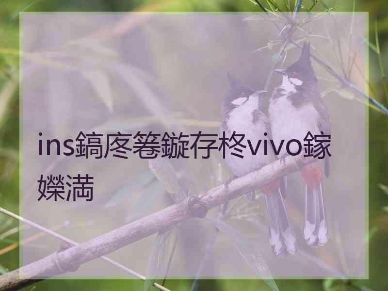 ins鎬庝箞鏇存柊vivo鎵嬫満