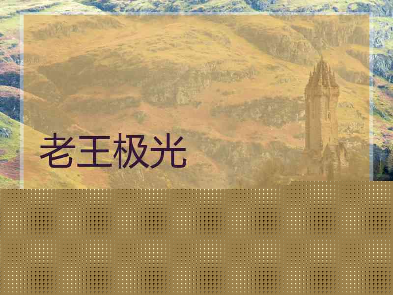 老王极光