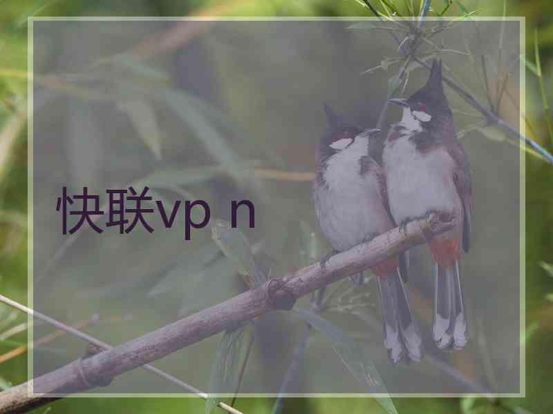 快联vp n