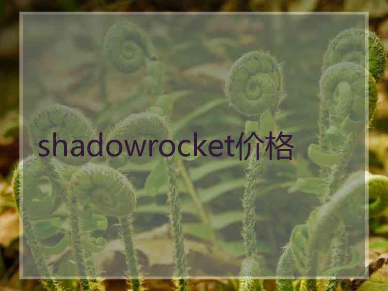 shadowrocket价格