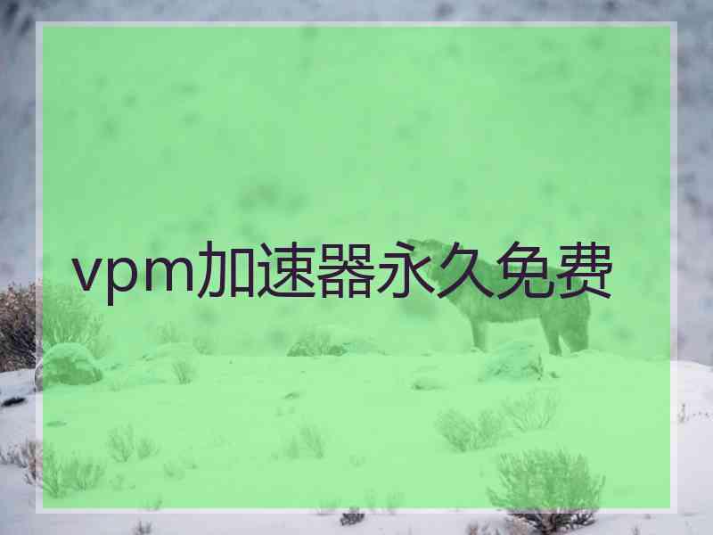 vpm加速器永久免费