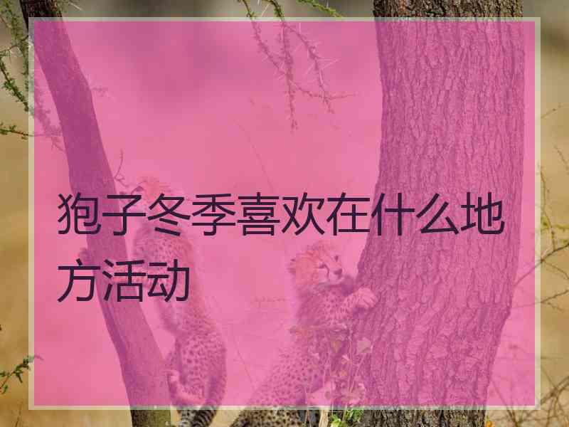 狍子冬季喜欢在什么地方活动