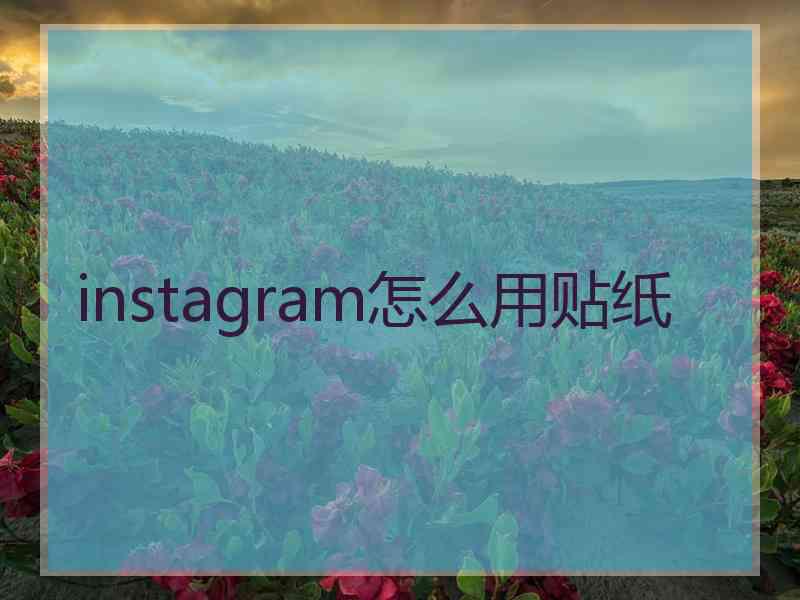 instagram怎么用贴纸