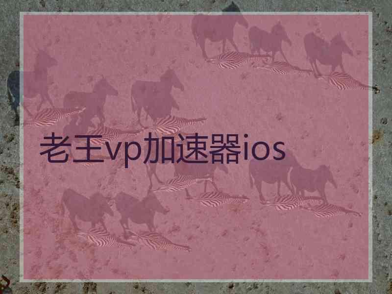 老王vp加速器ios