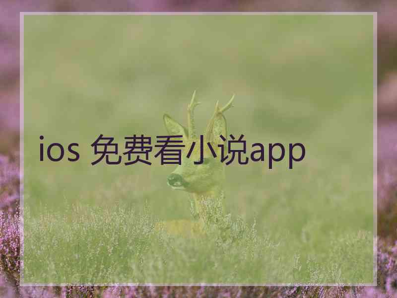 ios 免费看小说app