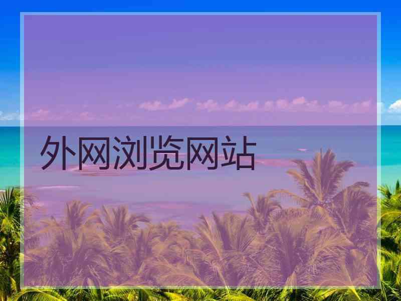 外网浏览网站