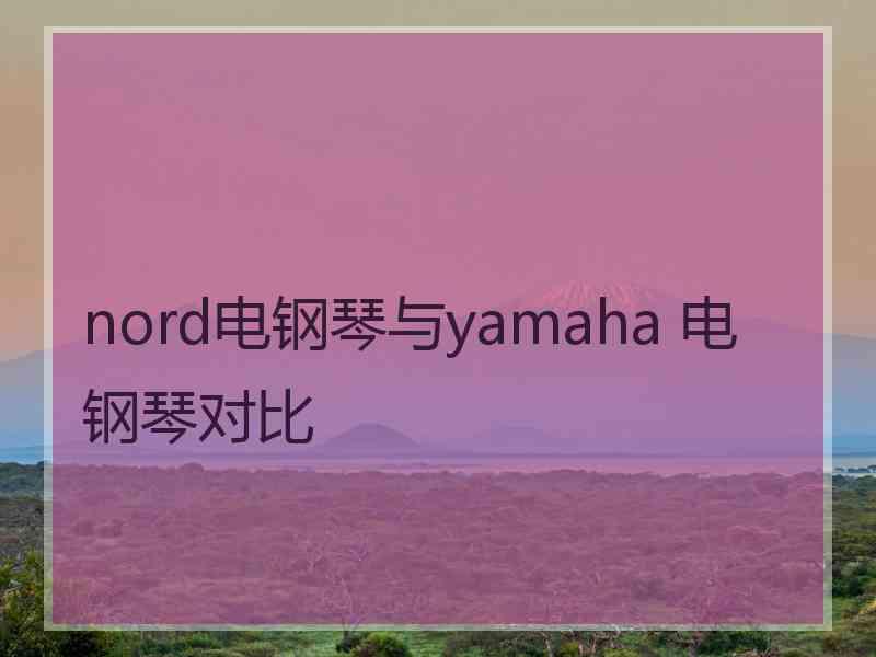 nord电钢琴与yamaha 电钢琴对比