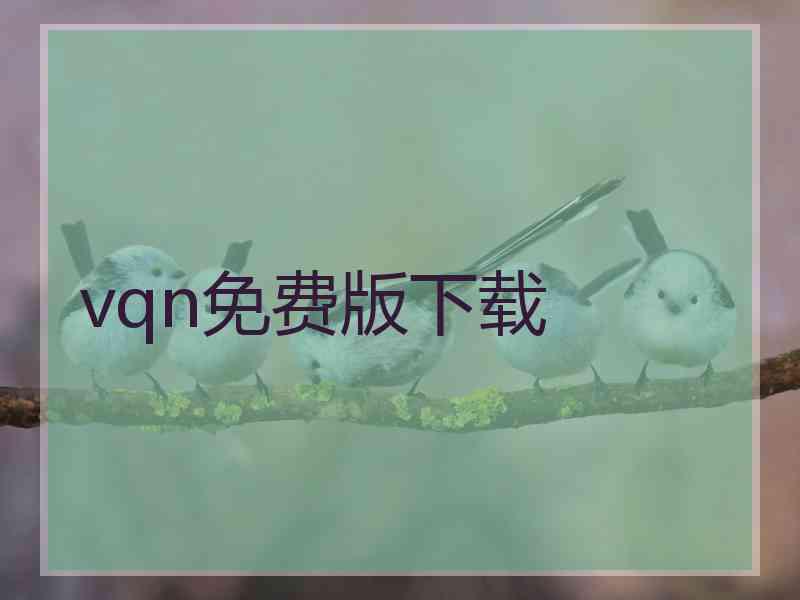 vqn免费版下载