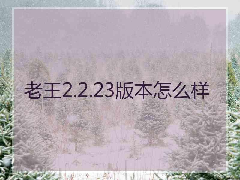 老王2.2.23版本怎么样