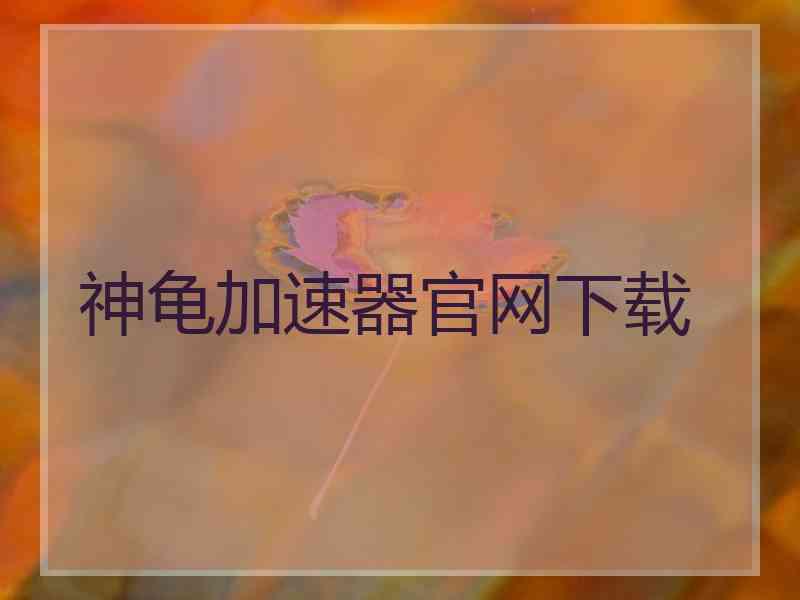 神龟加速器官网下载