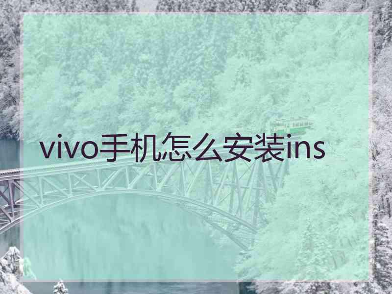 vivo手机怎么安装ins