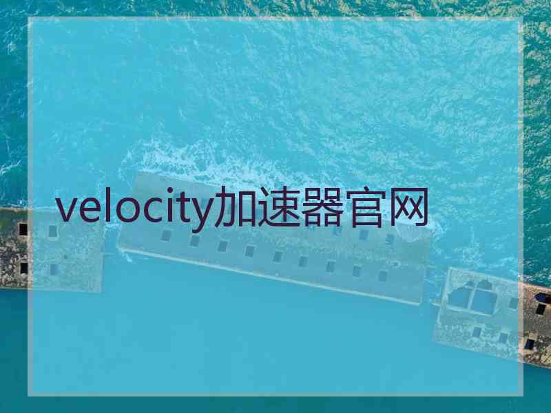 velocity加速器官网