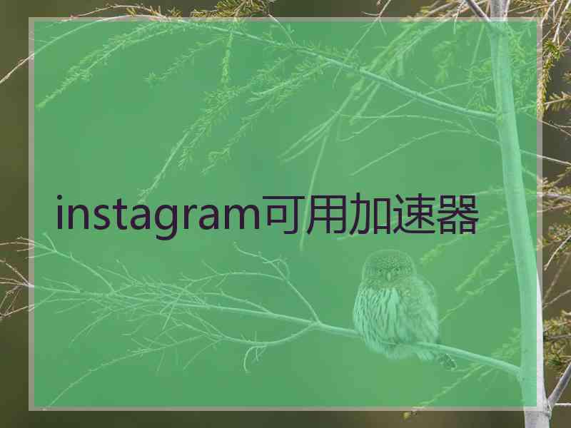 instagram可用加速器