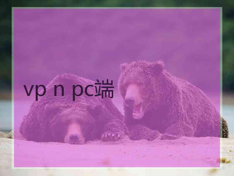 vp n pc端