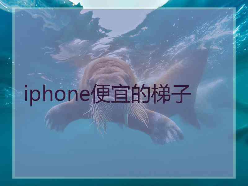 iphone便宜的梯子