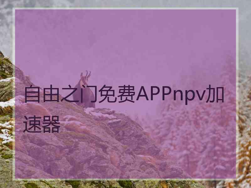 自由之门免费APPnpv加速器