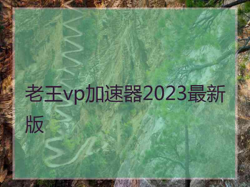 老王vp加速器2023最新版