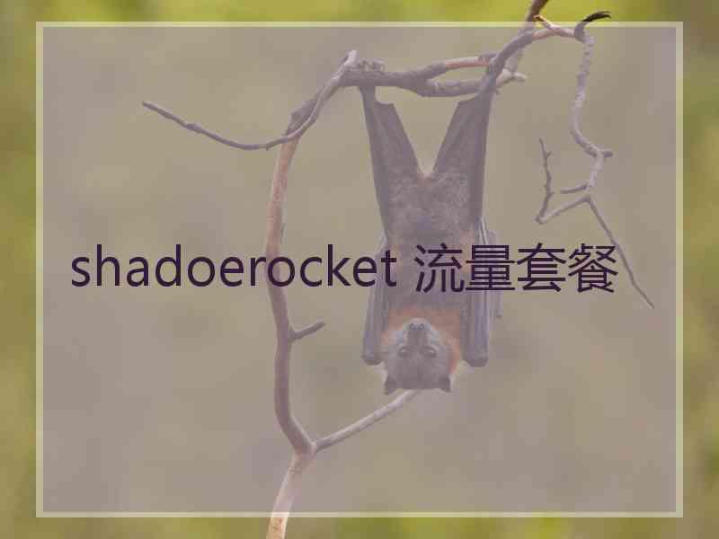 shadoerocket 流量套餐