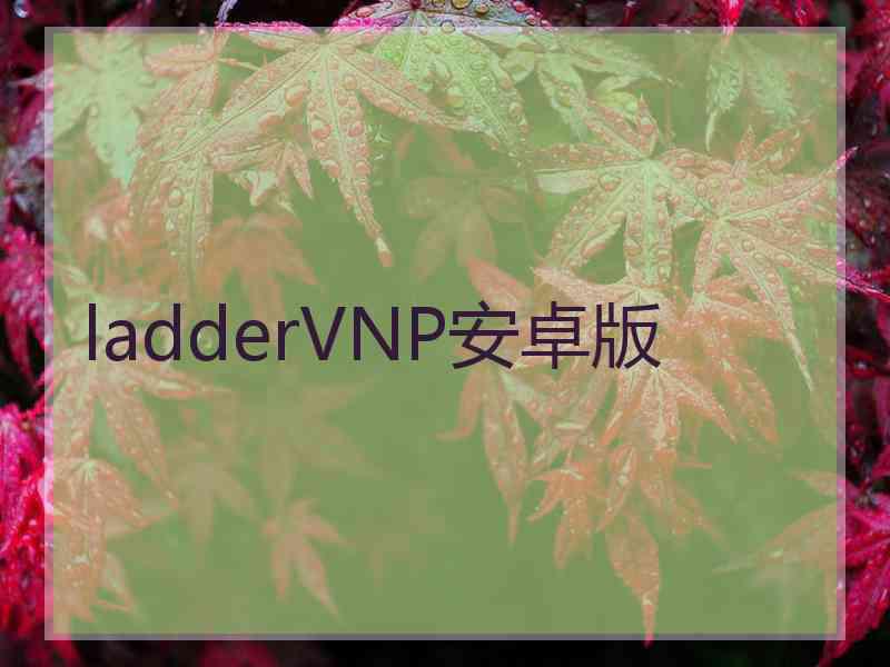 ladderVNP安卓版