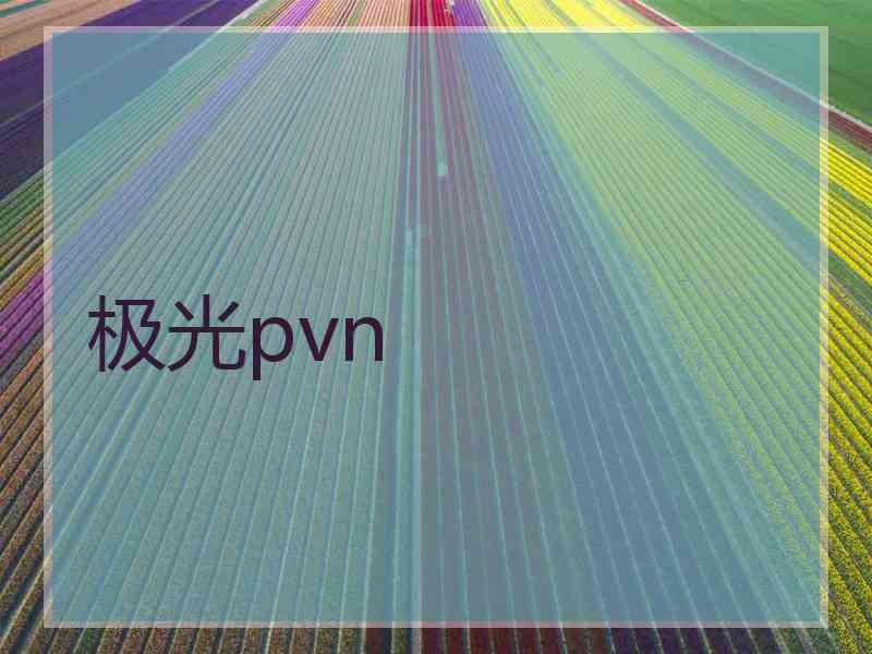 极光pvn