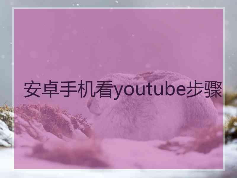 安卓手机看youtube步骤