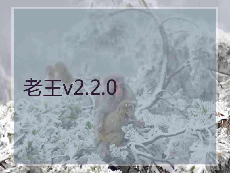 老王v2.2.0