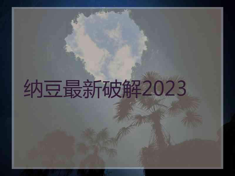 纳豆最新破解2023