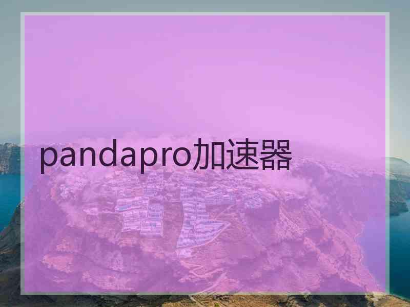 pandapro加速器