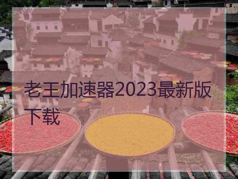 老王加速器2023最新版下载