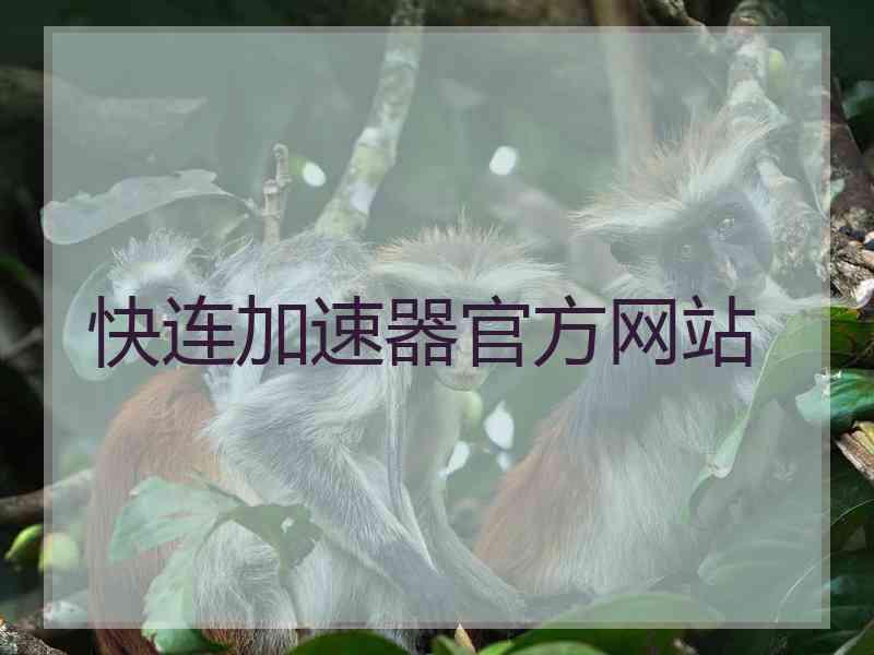 快连加速器官方网站