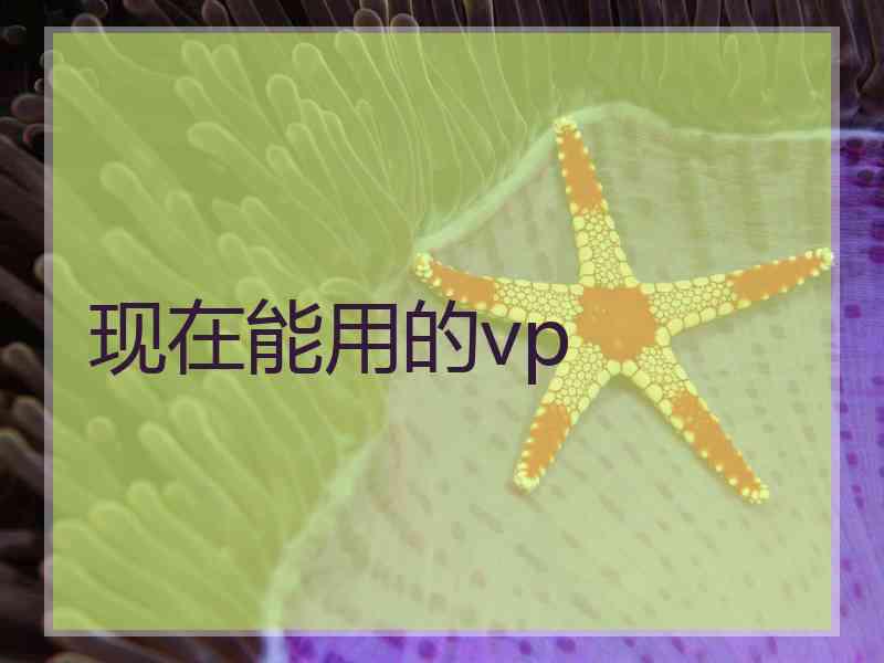 现在能用的vp