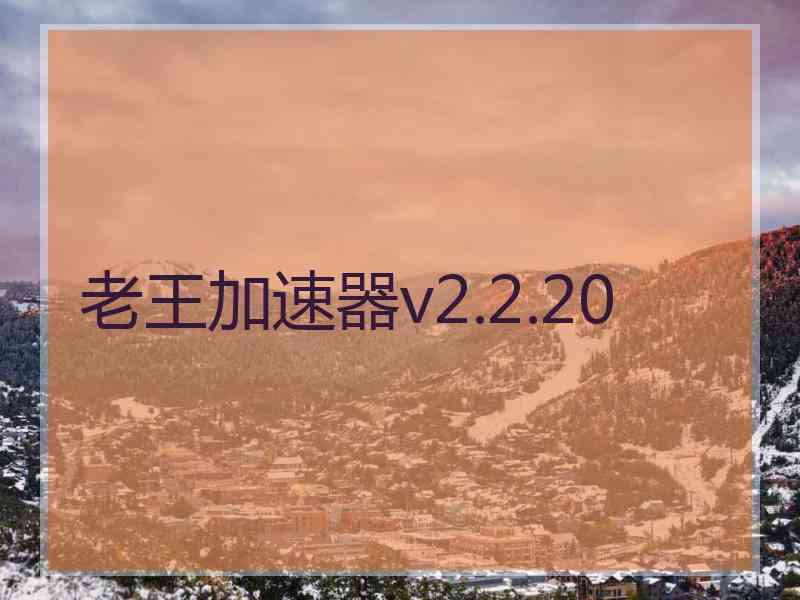 老王加速器v2.2.20