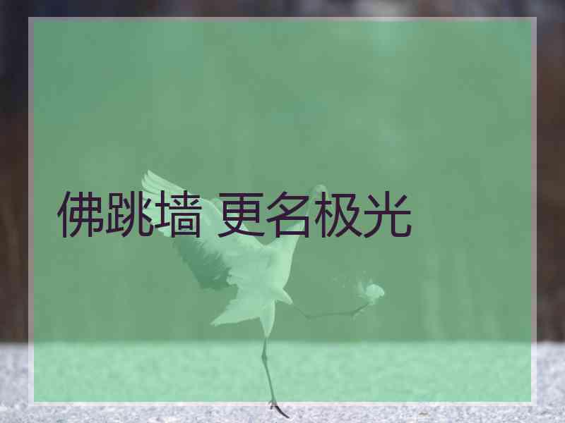 佛跳墙 更名极光