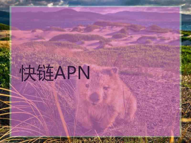 快链APN