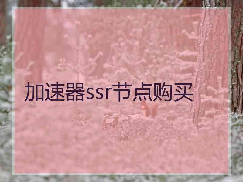 加速器ssr节点购买