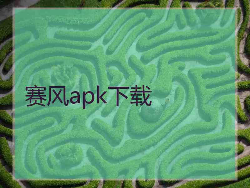 赛风apk下载