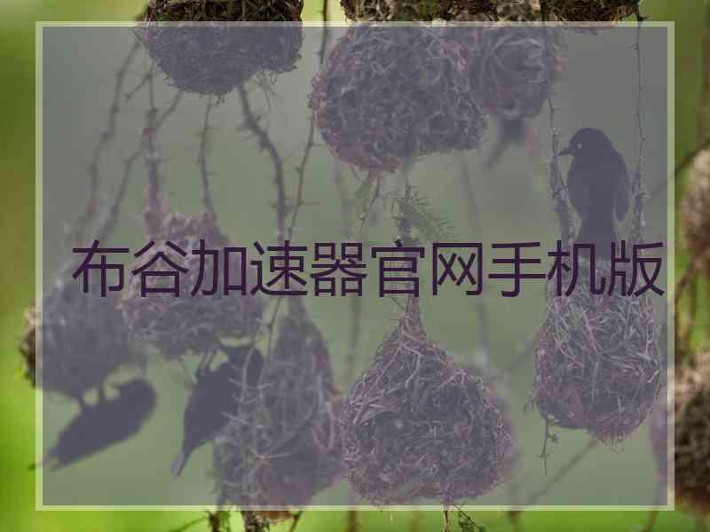 布谷加速器官网手机版