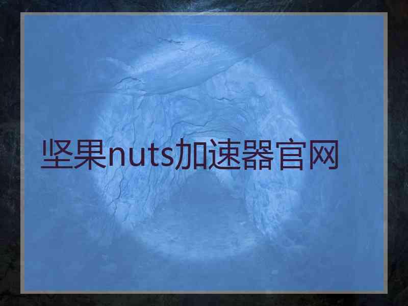 坚果nuts加速器官网