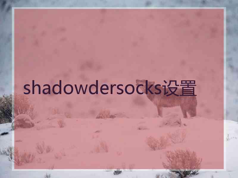 shadowdersocks设置