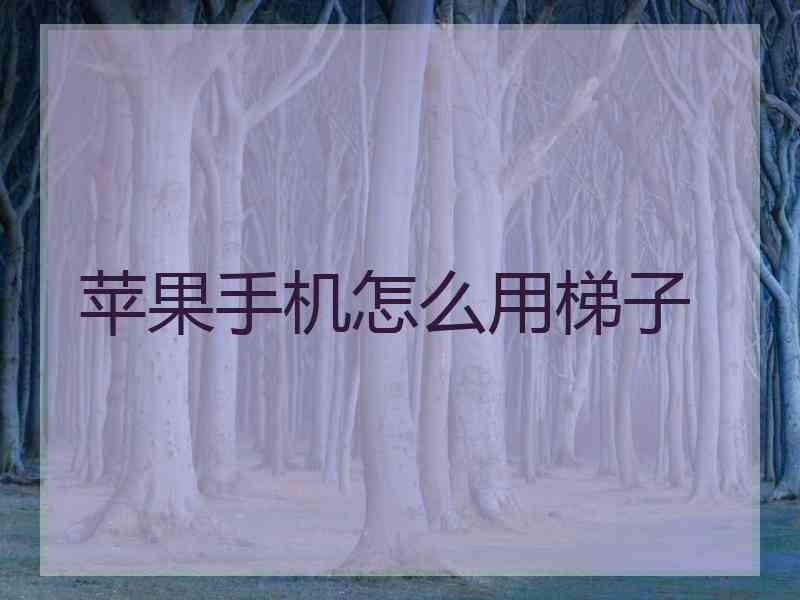 苹果手机怎么用梯子