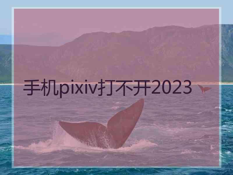 手机pixiv打不开2023