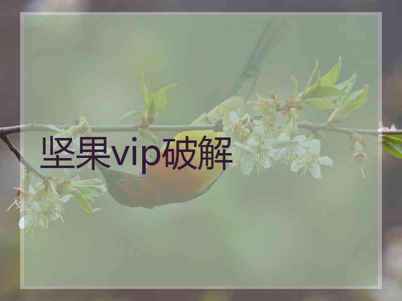 坚果vip破解