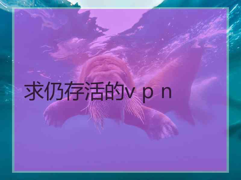 求仍存活的v p n