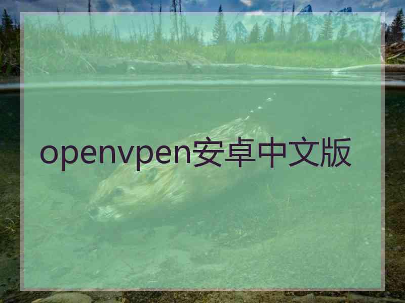 openvpen安卓中文版