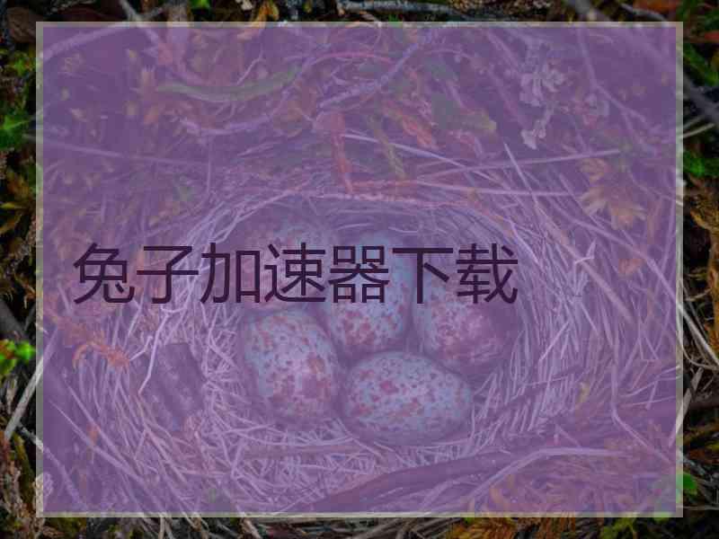 兔子加速器下载
