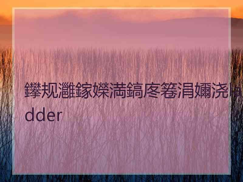 鑻规灉鎵嬫満鎬庝箞涓嬭浇ladder