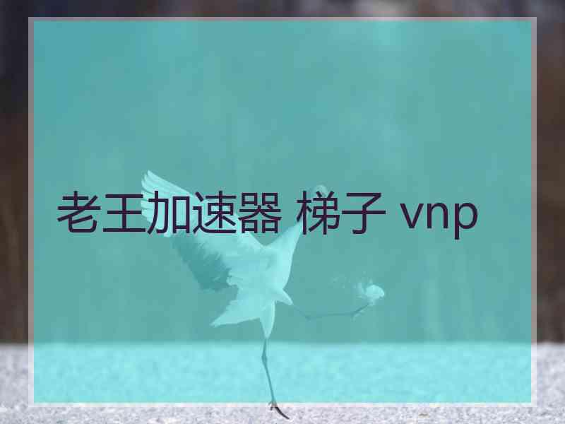 老王加速器 梯子 vnp