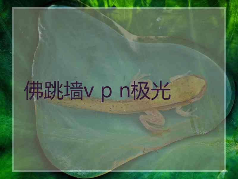 佛跳墙v p n极光