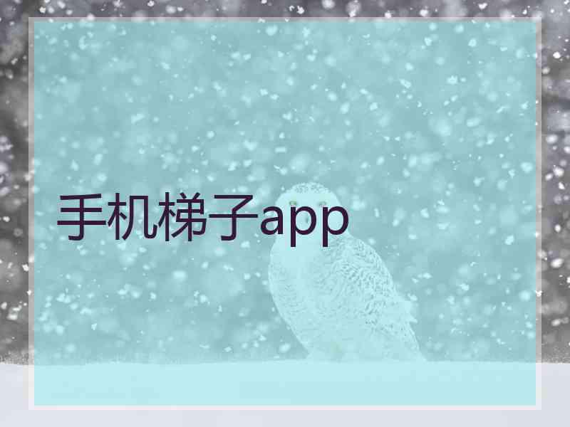 手机梯子app