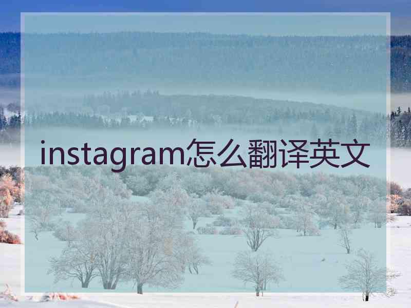 instagram怎么翻译英文